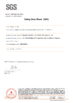 China Dongguan Youngteam New Material Technology Co., Ltd. Certificações
